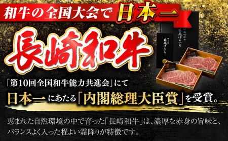 【全6回定期便】長崎和牛出島ばらいろ 特選霜降サーロインステーキ 500g以上（約250g×2枚）[RCI012] 長崎和牛 サーロイン 定期便 長崎和牛 サーロイン 定期便九州 長崎