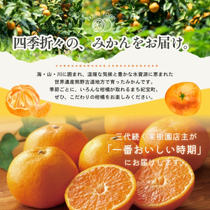 みかん 柑橘 定期便 みかん 4回 果物【tkb508】