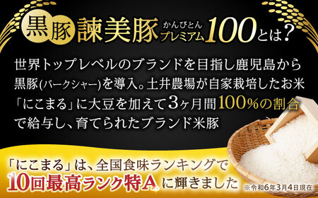 黒豚諫美豚プレミアム100 バラ肉 しゃぶしゃぶ用 500g(250g×2P) / 豚肉 ぶたにく バラ ばら 豚バラ しゃぶしゃぶ / 諫早市 / 株式会社土井農場 [AHAD073]