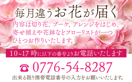 季節を楽しもう！毎回違うお花が届く「お花の定期便」 [M-159003] 