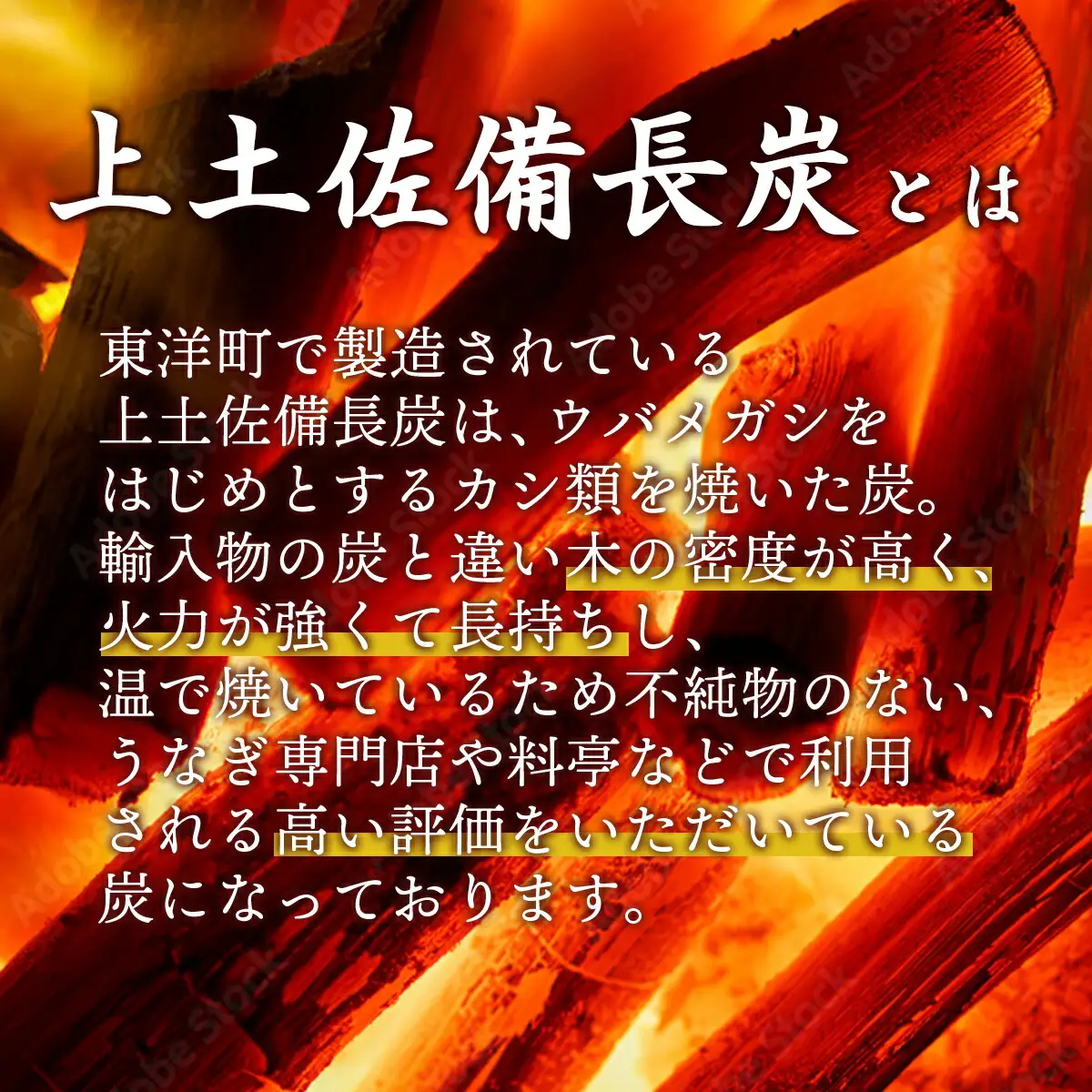BBQ炭 5kgセット（小サイズ）（多用途炭）　S160 [S-10] 【株式会社森海家】
