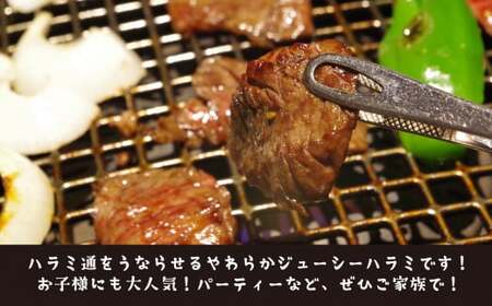 ちづや特製 自慢のタレ漬けハラミ （500g） 牛肉 ハラミ 焼肉