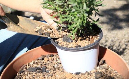 竹炭 1袋 40L 調湿剤 土壌改良材 消臭剤 
