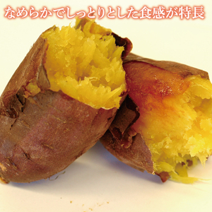 【2027年2月より順次発送】【行方かんしょ】『天皇杯受賞』JA「紅まさり」さつまいも 約5kg｜さつまいも サツマイモ さつま芋 お芋 紅まさり 行方かんしょ 先行予約 茨城県 行方市(AE-98)