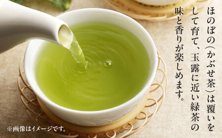 亀山茶 深蒸し煎茶・かぶせ茶セット / 茶 ちゃ お茶 おちゃ 緑茶 りょくちゃ 日本茶 茶葉 煎茶 セット / 亀山市 / 三重茶農業協同組合[AMAG001]