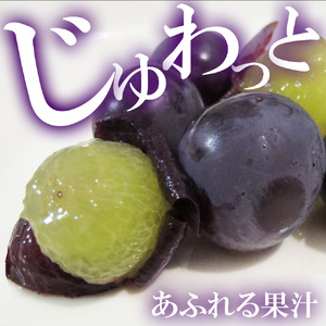 ピオーネ 三豊市産 1.2kg 2～3房