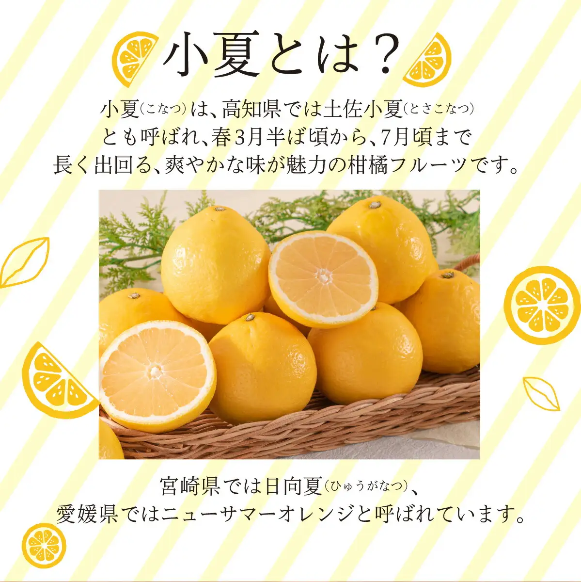 ＜先行予約＞【優品】西内小夏 5kg　N54 [NU-05] 【西内農園】