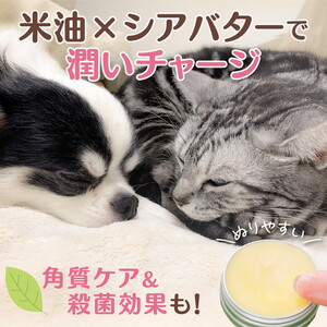 肉球クリーム「犬の肉球ケアクリーム 30g（クロモジ入り）」｜ペット ペット用品 愛犬 ケア ケアクリーム 肉球クリーム お手入れ 飼育 小型 中型 大型 犬 いぬ イヌ クロモジ 米油 シアバター 安心 蜂蜜成分 潤い 栄養 角質保護 殺菌作用 天然成分100% 肉球 犬専用 ワンちゃん ペットギフト 人気 プレゼント ギフト 革工房ワンループ 愛媛 久万高原町 ※着日指定不可 ※離島への配送不可