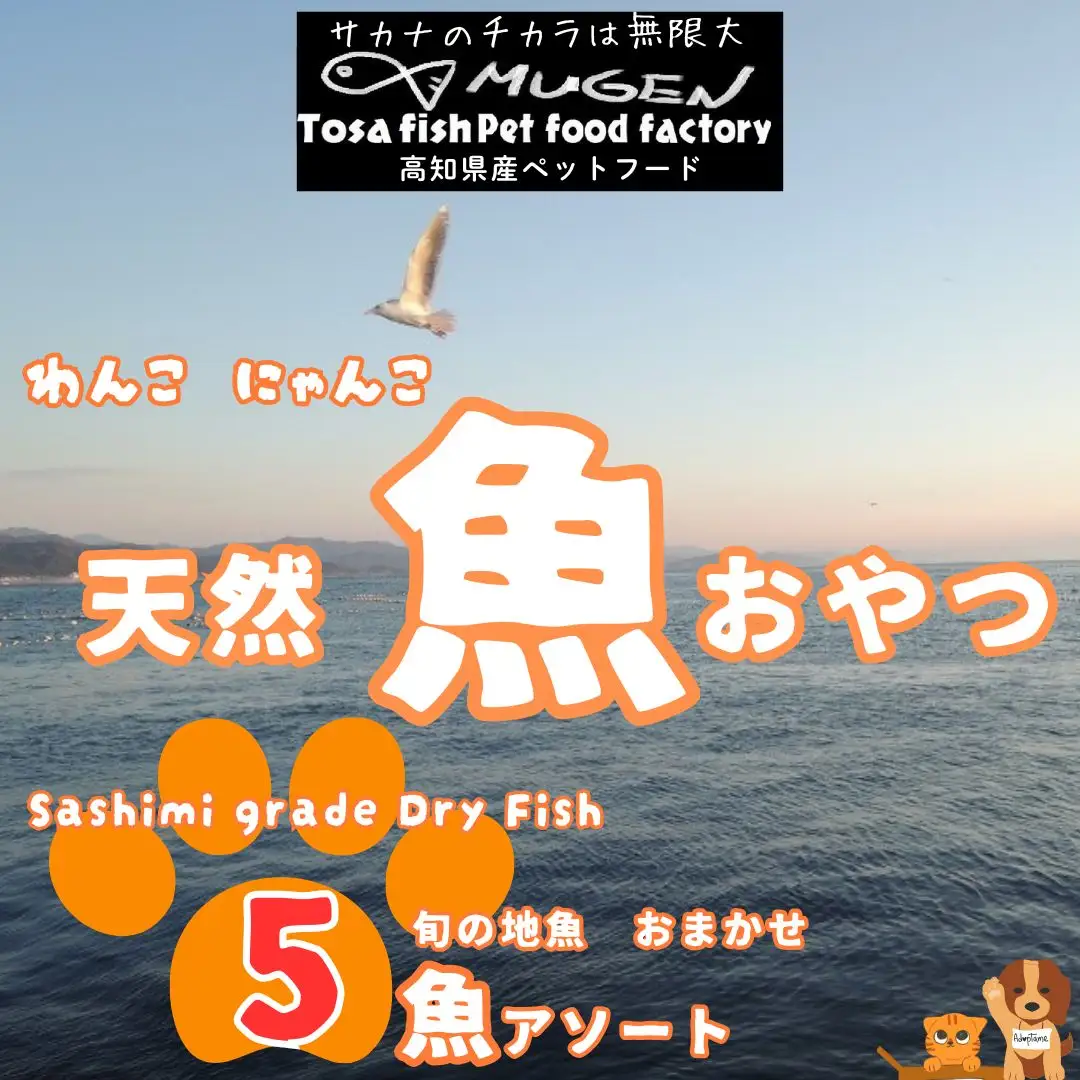 M208【犬・猫用】お魚100%わんにゃん 無添加ペットフードおまかせ 旬の5魚アソート