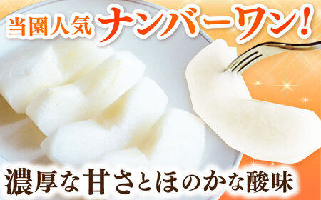 【2026年発送分 先行予約】【化粧箱入り】甘太郎（甘太）5-8個入（約3kg） / 梨 / 佐賀県 / 大川三世代 [41AEAB010]