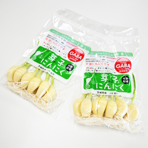 話題の新食材！芽子にんにく 1箱（1袋6個入り×10） 芽も根もまるごと食べられる！（KJ-3）