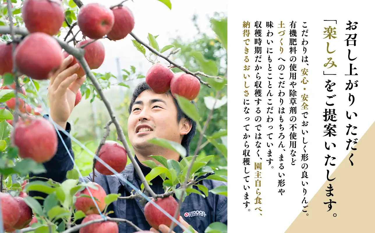 【レビューキャンペーン】【11~12月発送】  贈答用ぐんま名月約5kg（糖度証明書付き） 【青森県 平川市 那由多のりんご園】【hi-0005-014】