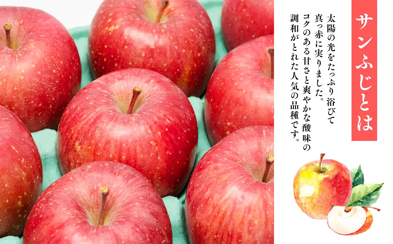 【レビューキャンペーン】【12月発送】贈答用サンふじ約3kg（糖度証明書付き）【hi-0005-015】