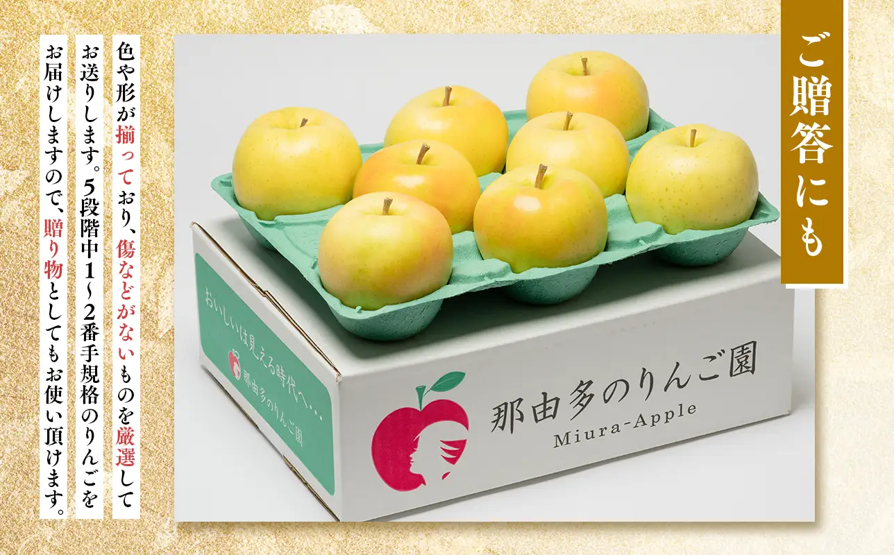 【レビューキャンペーン】10~12月発送 贈答用 糖度証明書付 トキ 約3kg 青森県平川市産[hi-0005-017]
