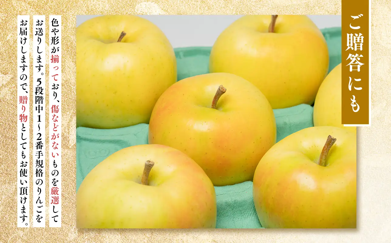 【レビューキャンペーン】【10~12月発送】 贈答用トキ約5kg（糖度証明書付き）【青森県 平川市 那由多のりんご園】【hi-0005-018】