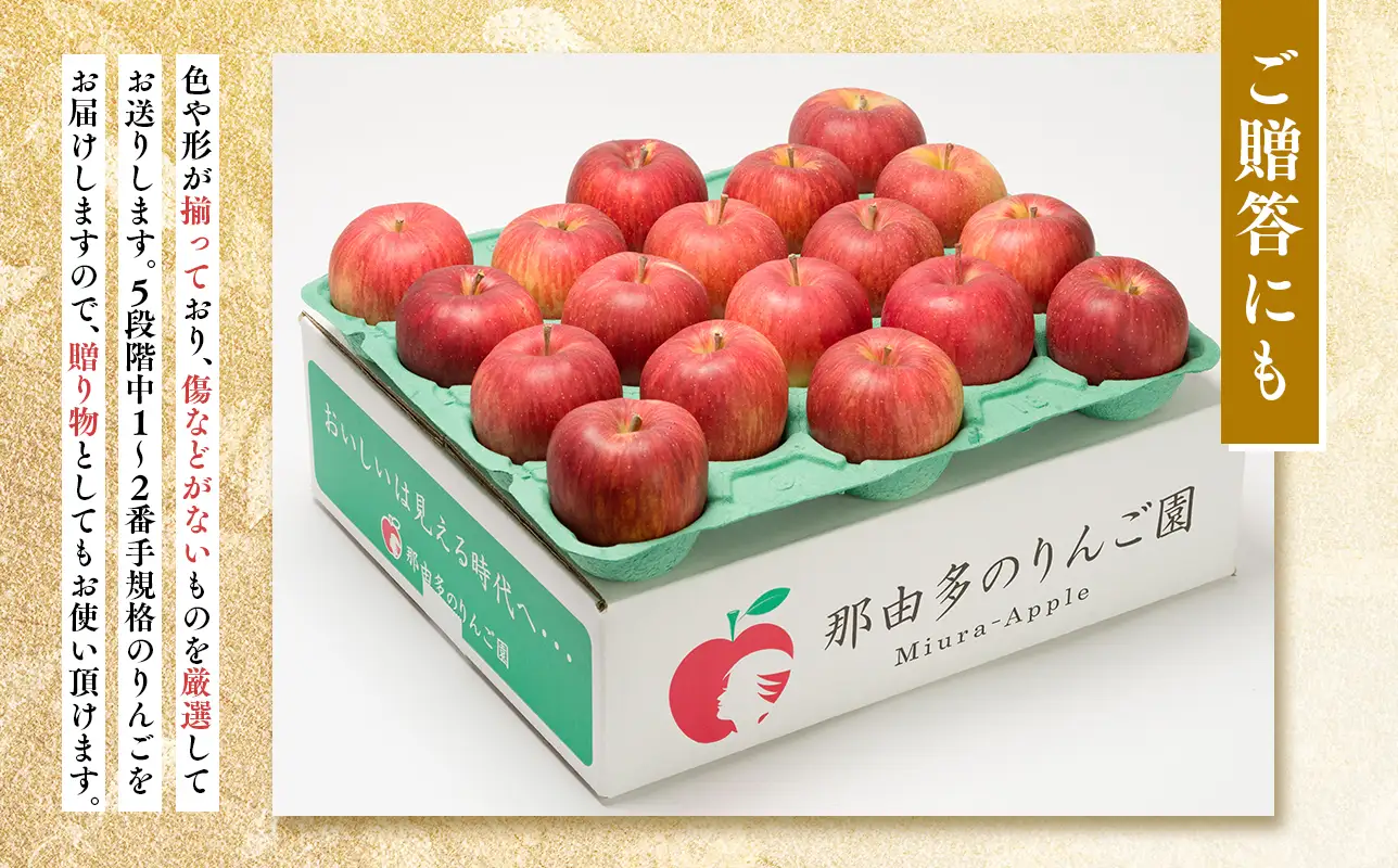 【レビューキャンペーン】10~12月発送 贈答用 糖度証明書付 シナノスイート 約5kg[hi-0005-020]