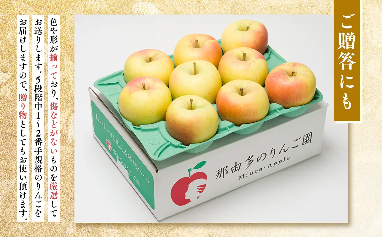 【レビューキャンペーン】1~2月発送 贈答用 糖度証明書付 ぐんま名月 約3kg[hi-0005-036]