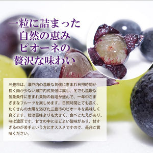 【配送不可地域:北海道・沖縄県・離島】ピオーネ 三豊市産 2kg
