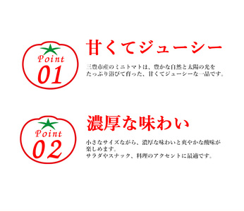 ミニトマト1.5kg