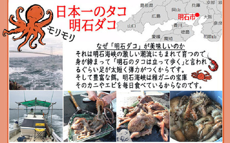 明石だこのやわらか煮 4個