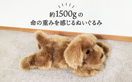 パトランミニ・ブラウン 糸島市 / 科学工房未来 犬 ペット ぬいぐるみ [AYI006] いぬ 動物