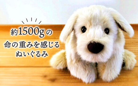 パトランミニ・ナチュラル 糸島市 / 科学工房未来 犬 ペット ぬいぐるみ [AYI007] いぬ 動物
