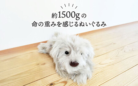 パトランミニ・グレージュ 糸島市 / 科学工房未来 パトラン ぬいぐるみ [AYI008] いぬ 動物