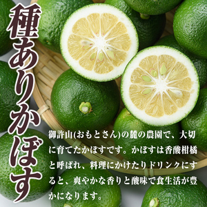 ＜先行予約受付中！2026年8月下旬以降順次発送予定＞おもとの丘のかぼす(約4kg)かんきつ 柑橘 期間限定 【111300201】【未来農林】