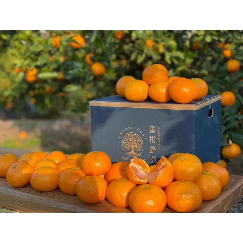 有田みかん 家庭用  3kg　濃厚完熟　お試し 味重視 (和歌山県産)