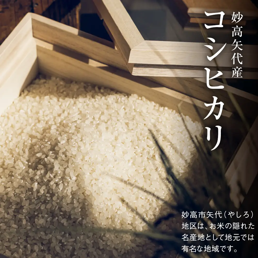 先行予約【令和8年産】【定期便】服部米蔵の妙高矢代産コシヒカリ 5kg×6回 計30kg