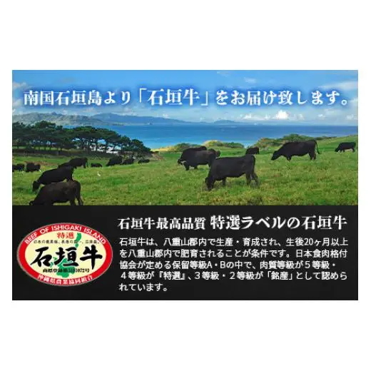 石垣牛・すき焼き用もも 500g 冷凍便　SI-84