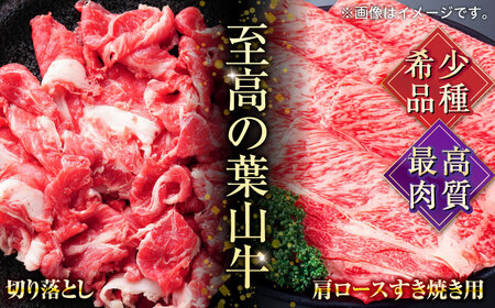 【全3回定期便】葉山牛満腹セット（肩ロースすき焼用250g×2＋切落し300g×2） 小分け 牛肉 すきやき 冷凍 切り落とし 横須賀 計1.1kg【株式会社羽根】 [AKAG042]