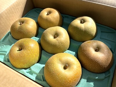 和梨（幸水または南水）２.５ｋｇ　ご家庭用　0012-2611