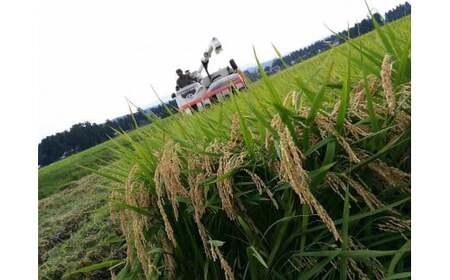 令和7年 新潟県産コシヒカリ アイガモ農法 10kg 10キロ（5kg×2） JAS有機栽培米 上越市 三和区神田 富永農産 送料無料 安全・安心こしひかり