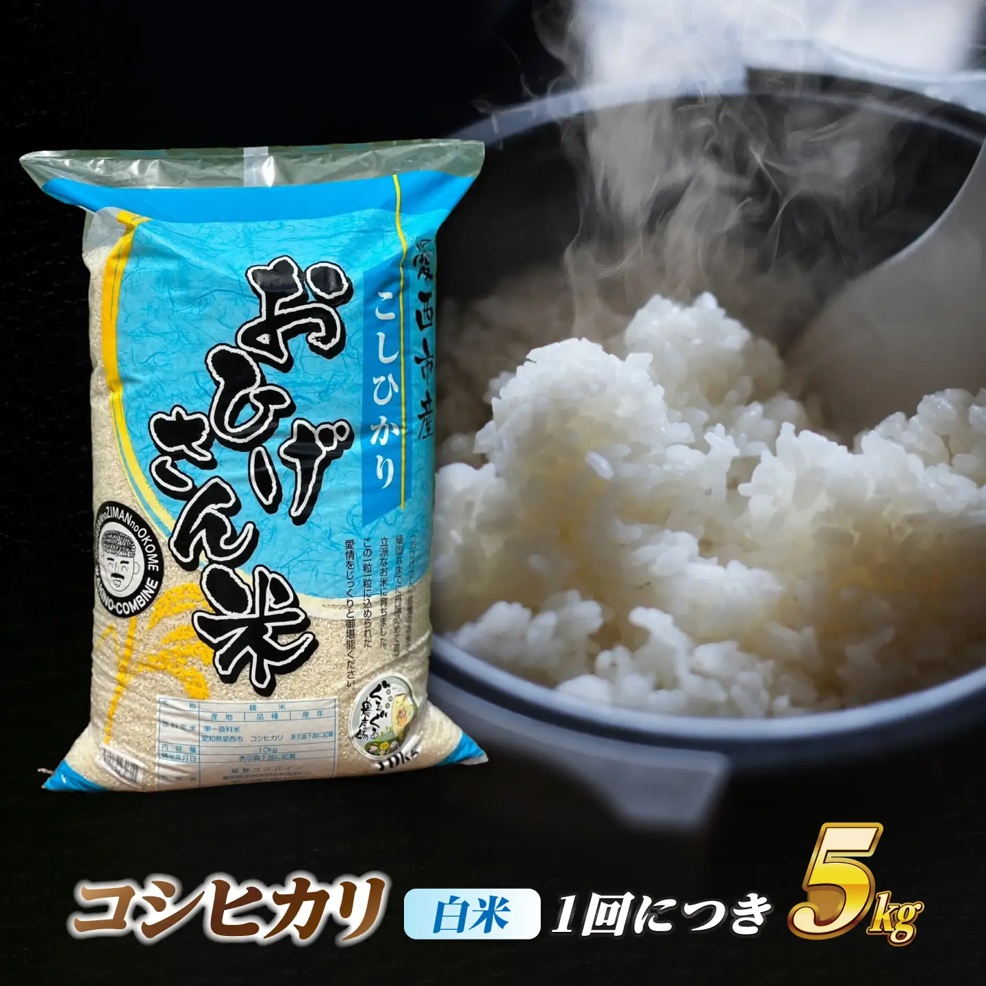 【3回定期便】コシヒカリ 白米 5kg×3か月 / 脇野コンバイン[AECP024]