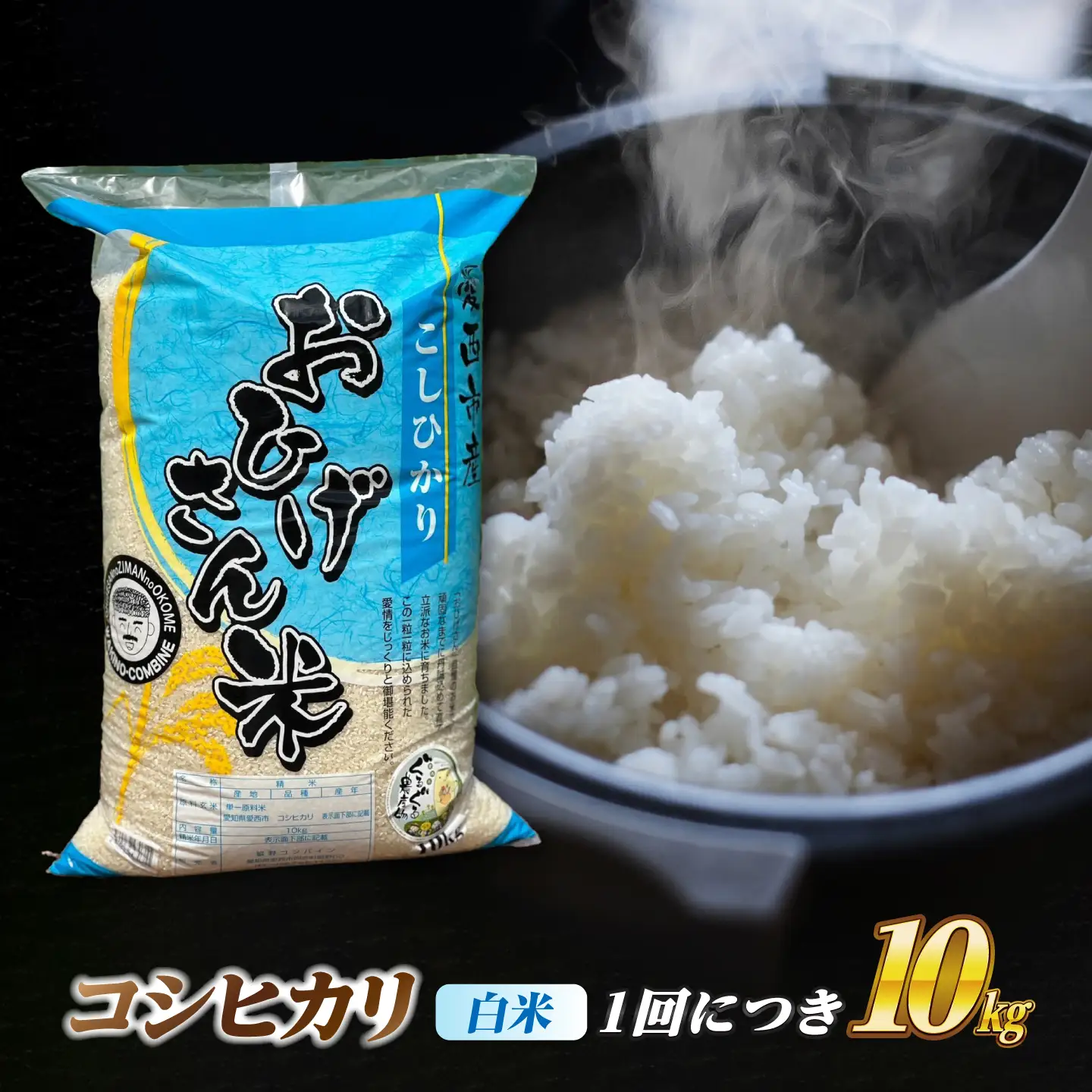 【3回定期便】コシヒカリ 白米 10kg×3か月 / 脇野コンバイン[AECP027]
