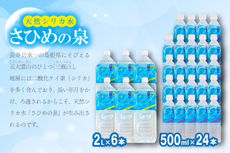 ナチュラルミネラルウォーター「さひめの泉」 ペットボトルセット（500ml×24本×1箱、2L×6本×1箱）【水 500ml 24本 2L 6本 ペットボトル シリカ水 シリカ ミネラルウォーター】