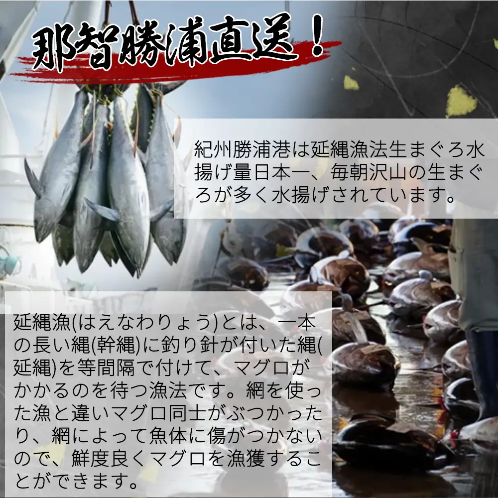 もちもち生まぐろ醤油漬け4P / マグロ 鮪  まぐろ 漬けマグロ 漬け 魚 海鮮 【uot808】