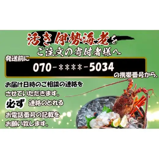 【 伊勢海老 】 伊勢海老600g以上