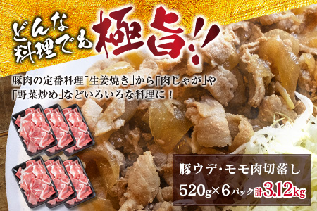 豚肉 豚ウデ 豚モモ 切り落とし セット 計3.12kg 国産 ポーク 食品 おかず 切落し スライス肉 万能食材 大容量 焼肉 生姜焼き カレー 肉じゃが 炒め物 お弁当 おつまみ 晩ご飯 うで もも 人気 冷凍 お土産 おすそ分け お取り寄せ 宮崎県 日南市 送料無料_C144-25