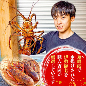 【 伊勢海老 】 伊勢海老700g以上