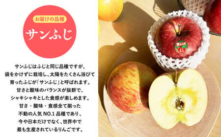 2026年産１１月～４月発送　贈答用葉とらずサンふじ3kg【青森県 平川市 そと川りんご園】１１月～４月発送 贈答 青森 青森県産 平川 葉とらず サンふじ ふじ りんご リンゴ 林檎 くだもの 果物 フルーツ 