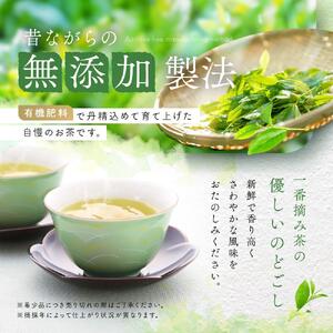 野洲生まれ　野洲育ち自家栽培　一番摘み煎茶120g　5本セット