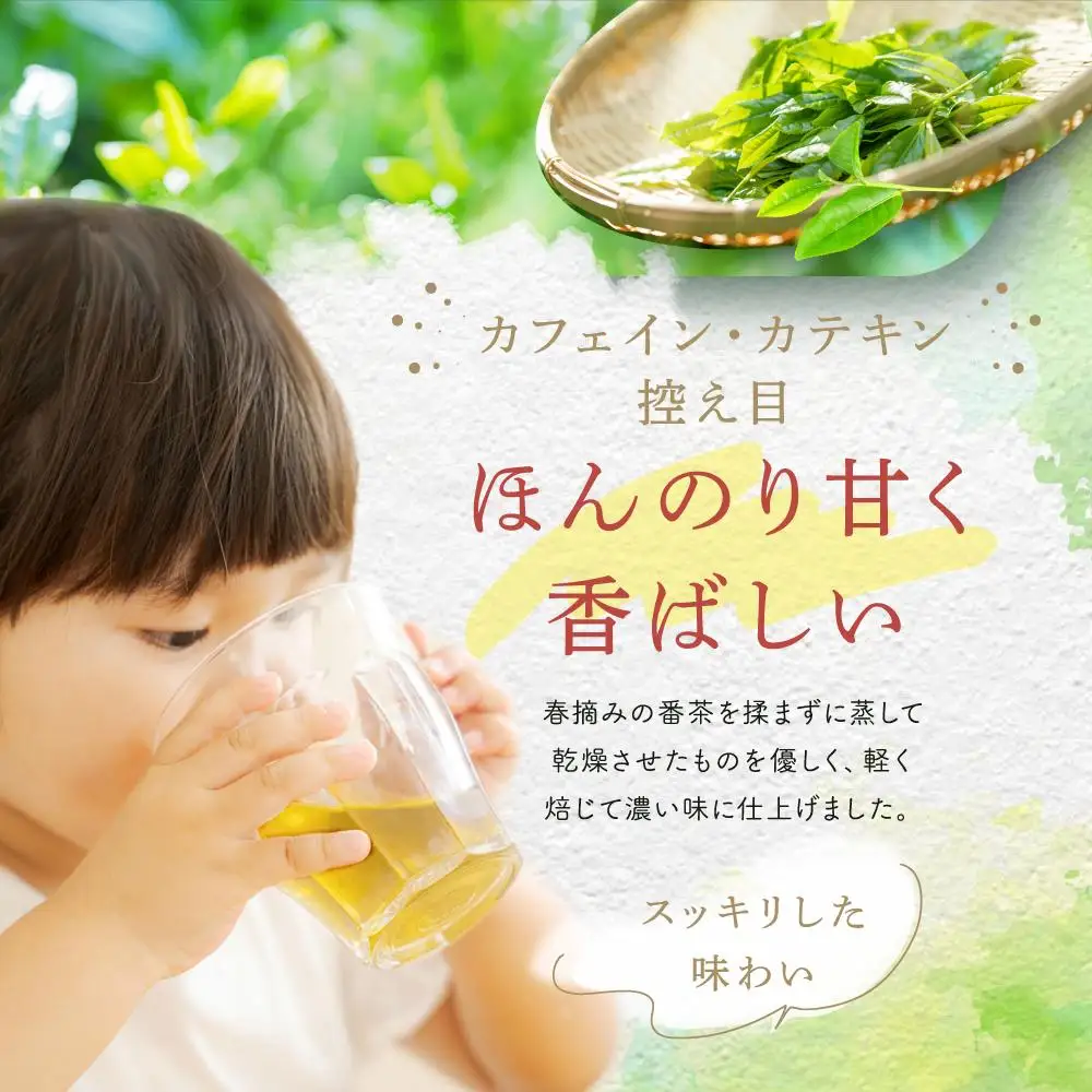 日本5大銘茶朝宮茶を使った赤ちゃん番茶ティーバッグ5g×18個　5本セット