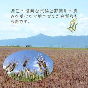 近江のもち麦１kg３袋｜野洲市 もち麦 滋賀産 健康食材 ダイエット ビタミン ミネラル 便秘解消 腸内環境 美容 健康志向 料理 レシピ お取り寄せ 通販 ふるさと納税 ｜