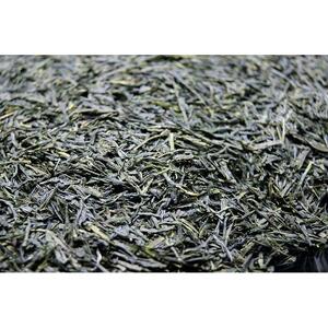 1200年の伝統の味と香り「特選朝宮茶」