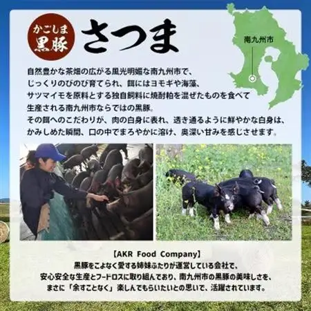 【発送月固定定期便】どどーんと黒豚1頭(※総計55kg)全4回【配送不可地域：離島】【4081682】