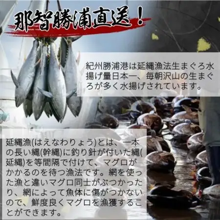 もちもち生まぐろ醤油漬け4P【配送不可地域：離島】【1537415】