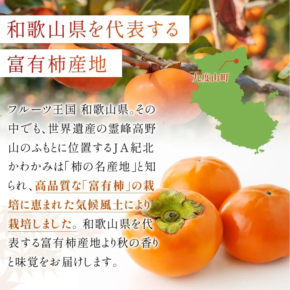 和歌山県産 訳あり 富有柿 7.5kg L ~ 2L 柿 【2026年11月中旬～発送】