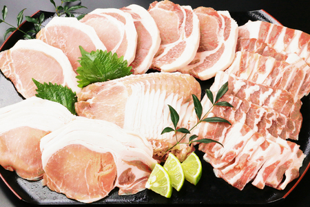 日向豚 盛りだくさんセット 1.5kg [JAみやざき 日向肉豚部会 宮崎県 日向市 452060632]